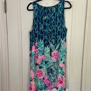 Beautiful Lilly dress!